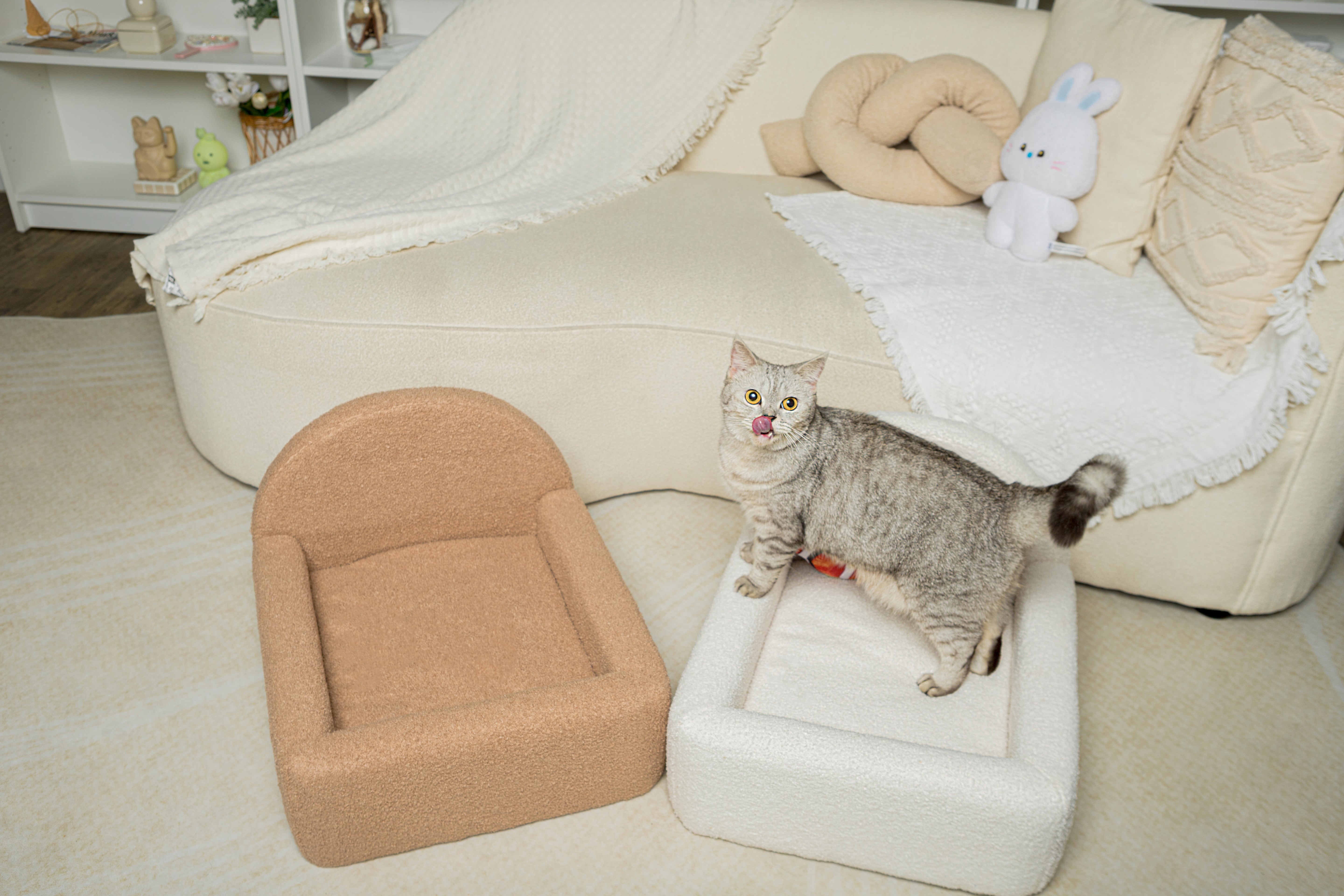 Tailored for Ultimate Snuggles