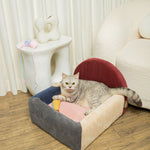 Colorblock Haven - Paddlepop - PawPal