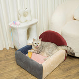 Colorblock Haven - Paddlepop - PawPal
