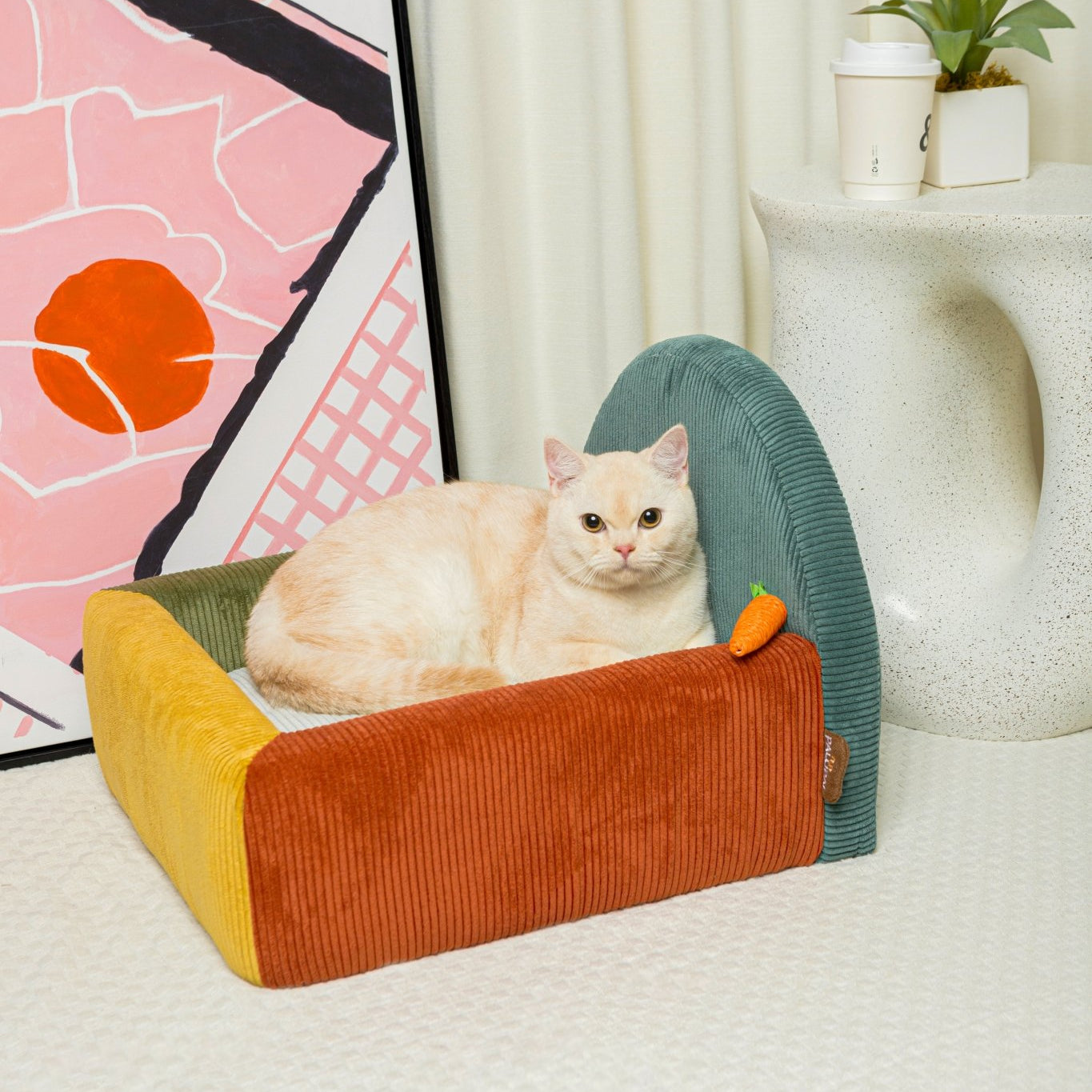 Colorblock Haven - Spectrum Burst - PawPal