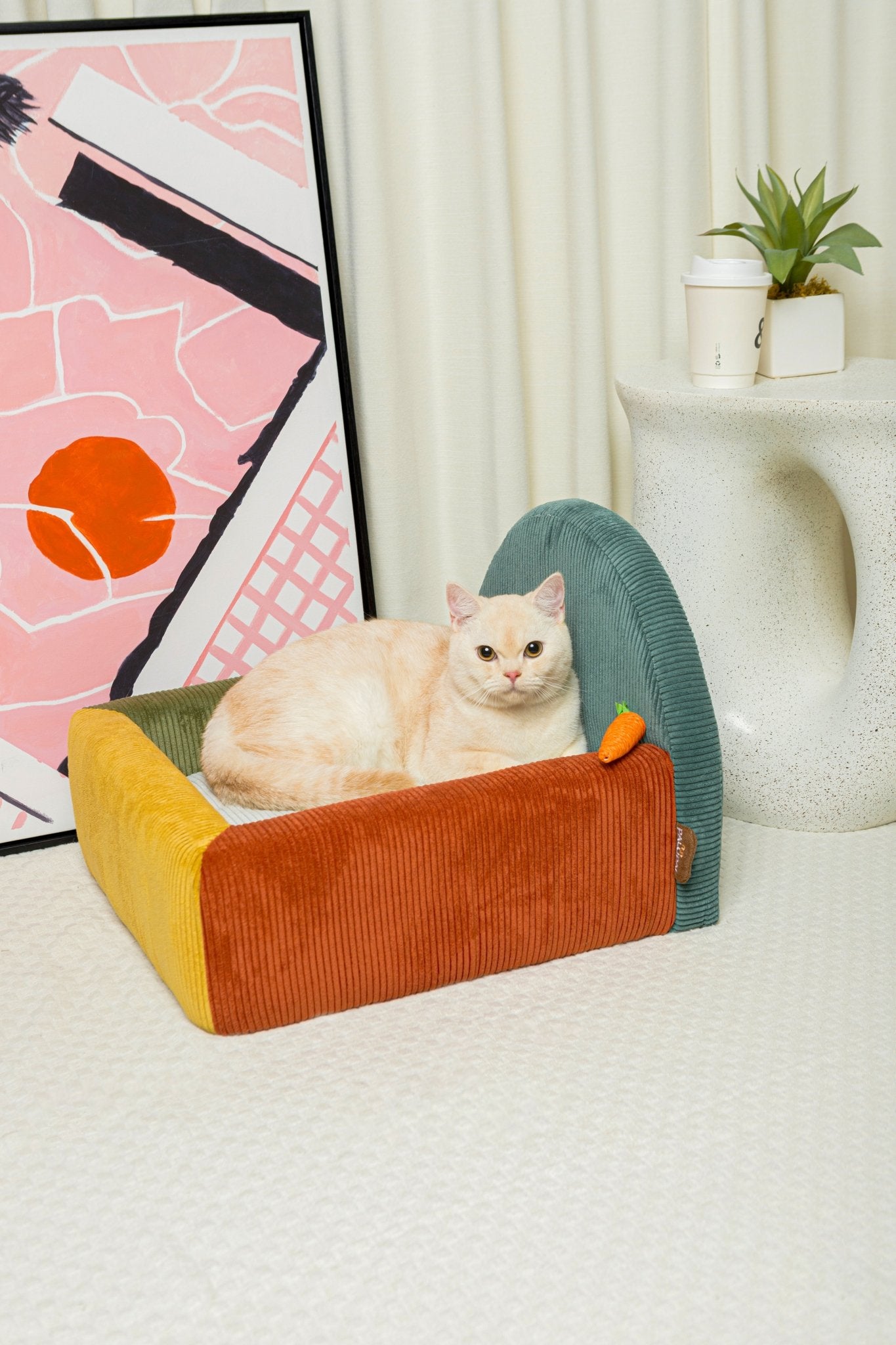 Colorblock Haven - Spectrum Burst - PawPal