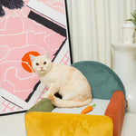 Colorblock Haven - Spectrum Burst - PawPal