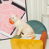 Colorblock Haven - Spectrum Burst - PawPal