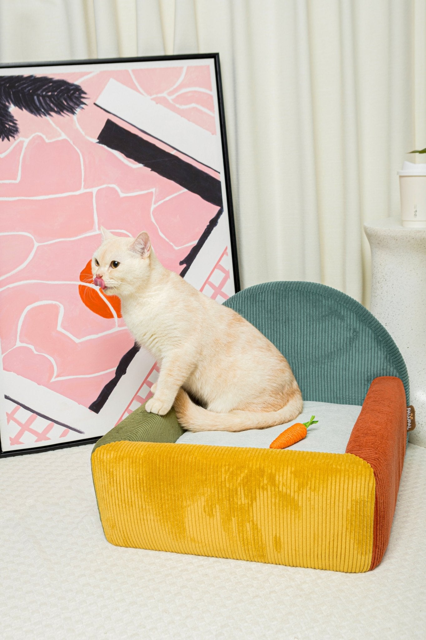 Colorblock Haven - Spectrum Burst - PawPal