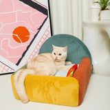 Colorblock Haven - Spectrum Burst - PawPal