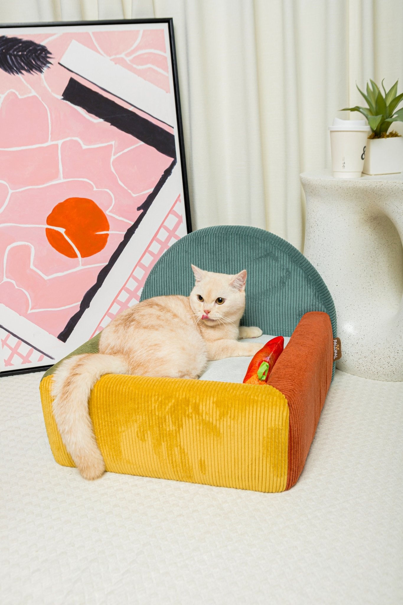 Colorblock Haven - Spectrum Burst - PawPal